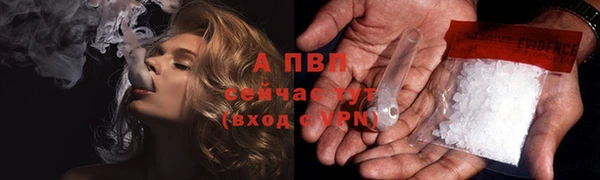 ПСИЛОЦИБИНОВЫЕ ГРИБЫ Беломорск