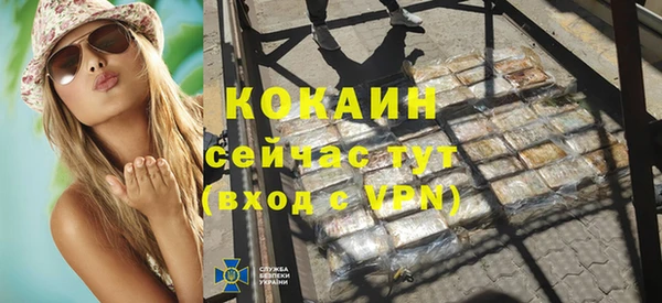 спиды Каменка