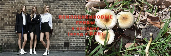 спиды Каменка