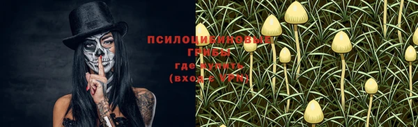 спиды Каменка