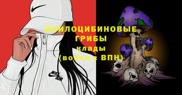 спиды Каменка
