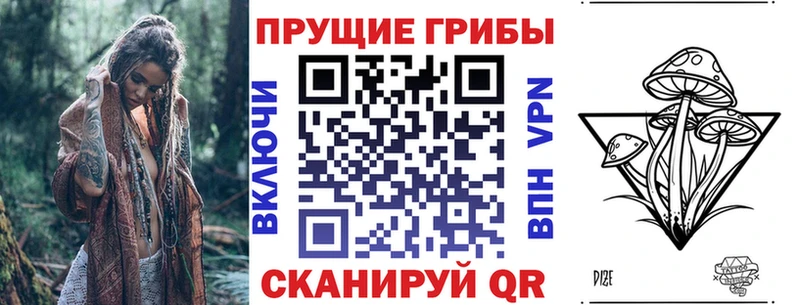 даркнет сайт  Пустошка  Галлюциногенные грибы MAGIC MUSHROOMS 