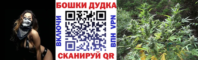 что такое   Пустошка  Шишки марихуана White Widow 